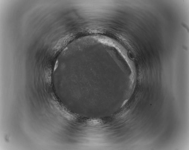 X0000102480402200808291632