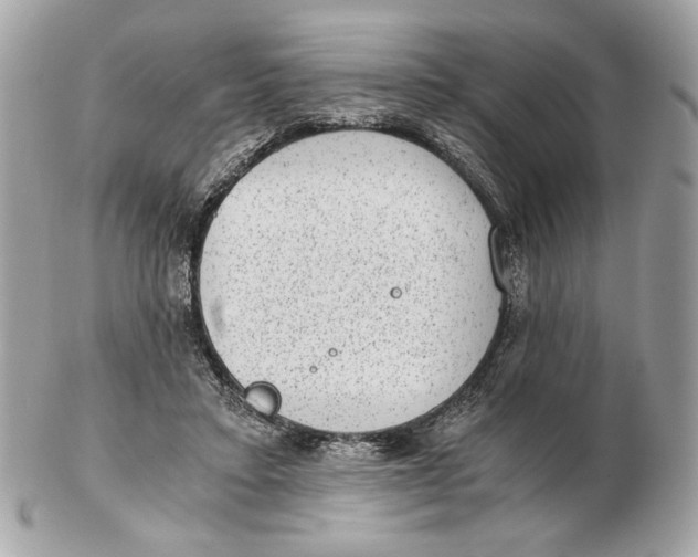 X0000102480403200808291632