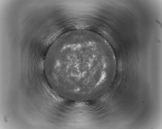 X0000102480405200808291631