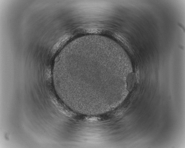 X0000102480407200808291631