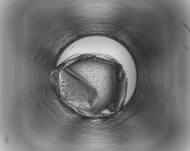 X0000102480411200808291631