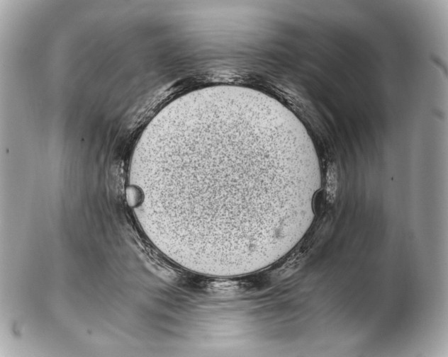 X0000102480413200808291631