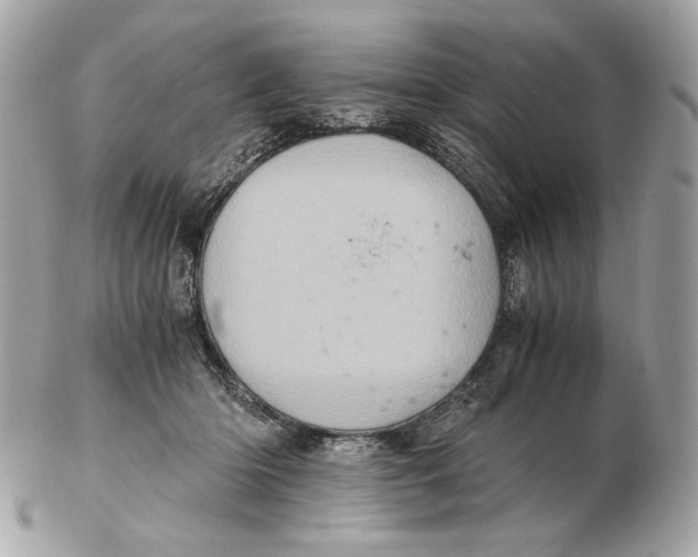 X0000102480414200808291631