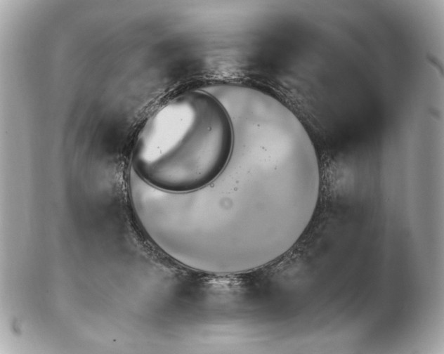 X0000102480415200808291631