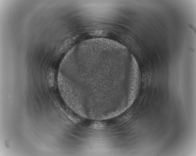 X0000102480416200808291631