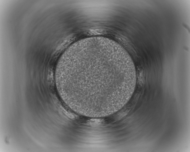 X0000102480418200808291631