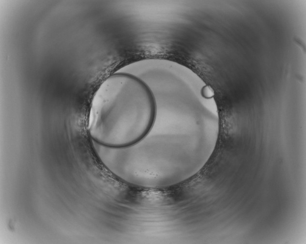 X0000102480419200808291631