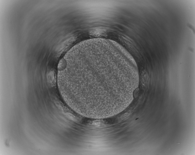 X0000102480420200808291631