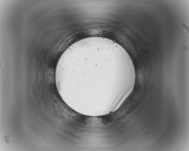 X0000102480421200808291631