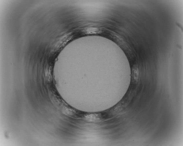 X0000102480422200808291631