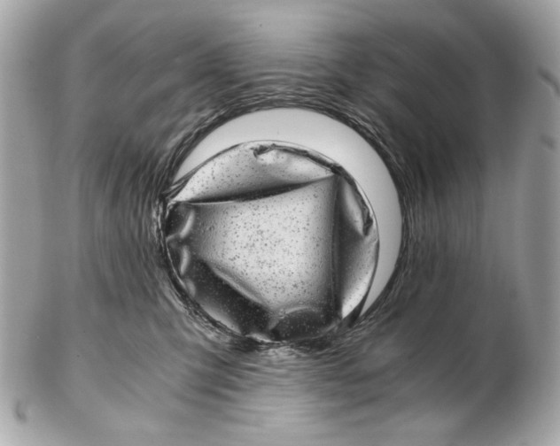 X0000102480423200808291631