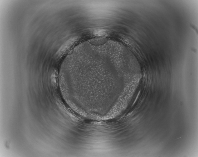 X0000102480424200808291631