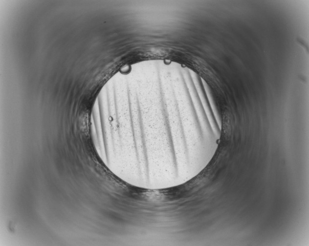 X0000102480425200808291631