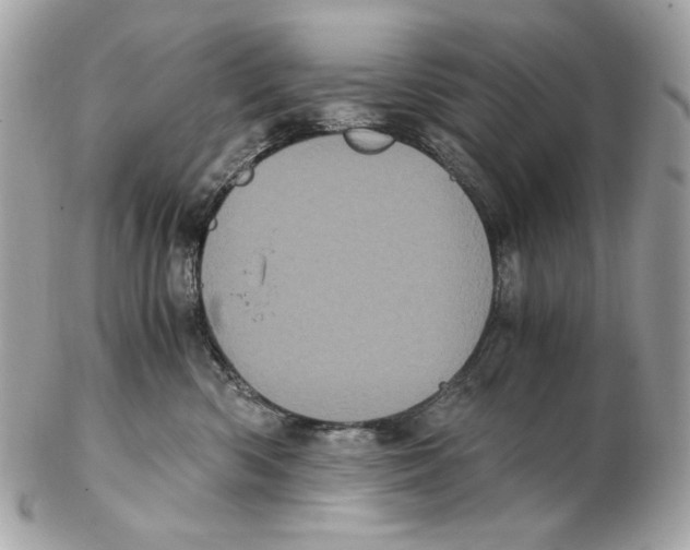 X0000102480426200808291631