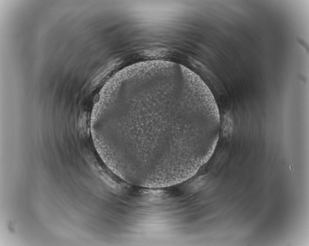 X0000102480428200808291631