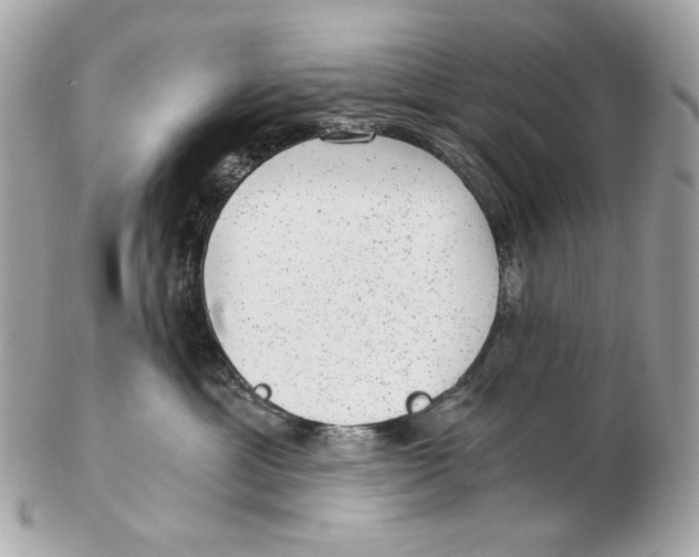 X0000102480429200808291631