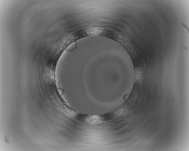 X0000102480431200808291631