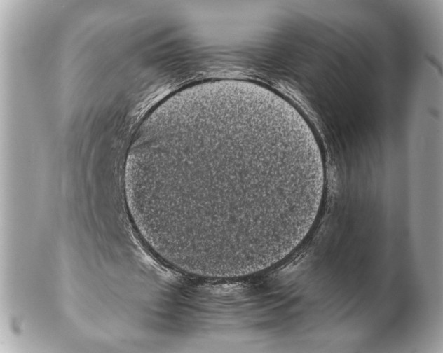 X0000102480433200808291630