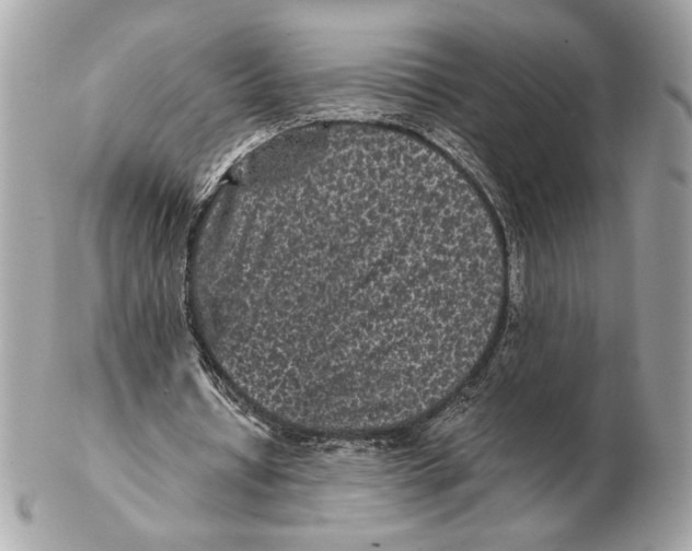 X0000102480434200808291630