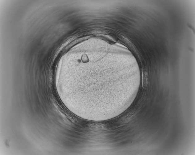 X0000102480435200808291630