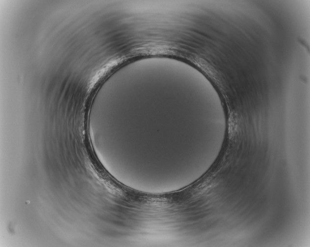 X0000102480438200808291630