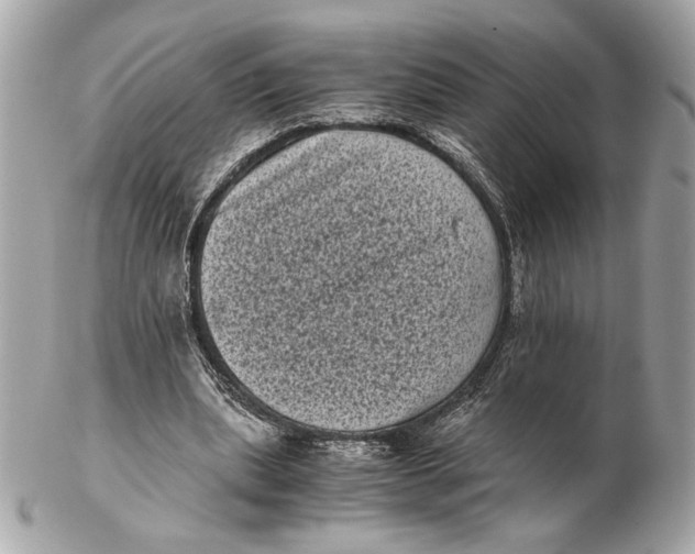 X0000102480439200808291630