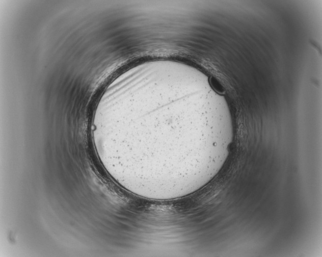 X0000102480440200808291630