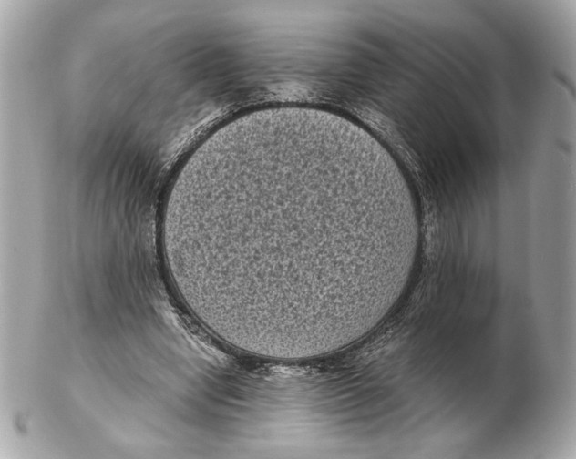 X0000102480442200808291630