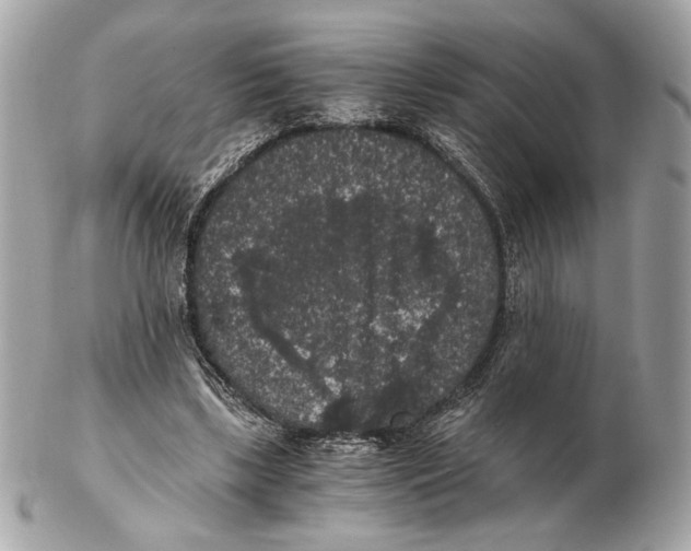 X0000102480443200808291630