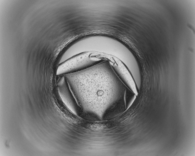 X0000102480444200808291630