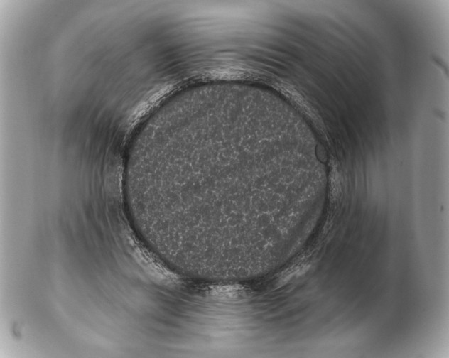 X0000102480446200808291630