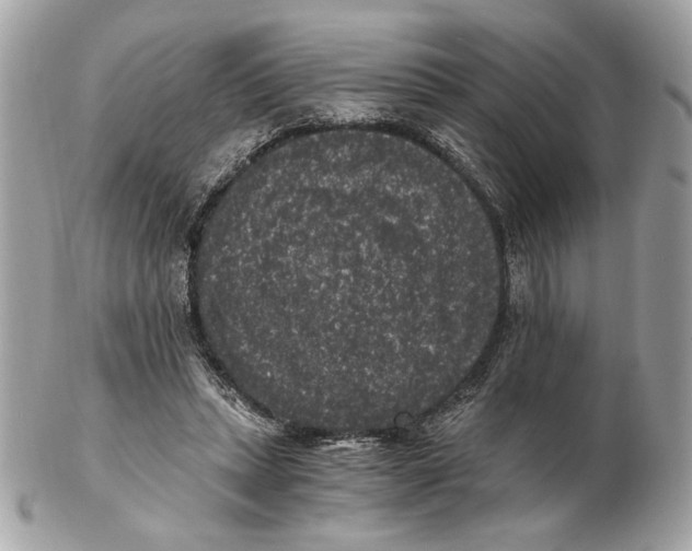 X0000102480447200808291630