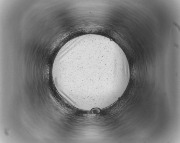 X0000102480448200808291630