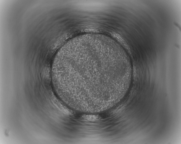 X0000102480449200808291630