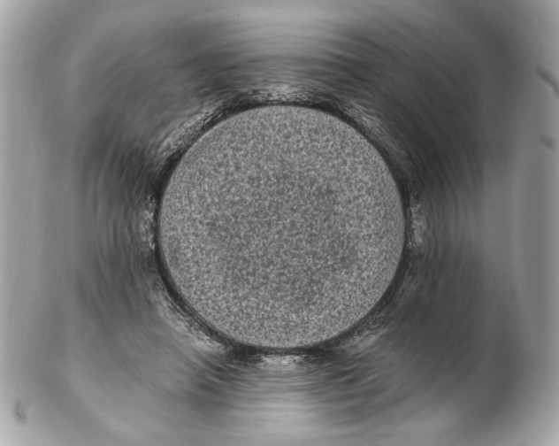 X0000102480450200808291631