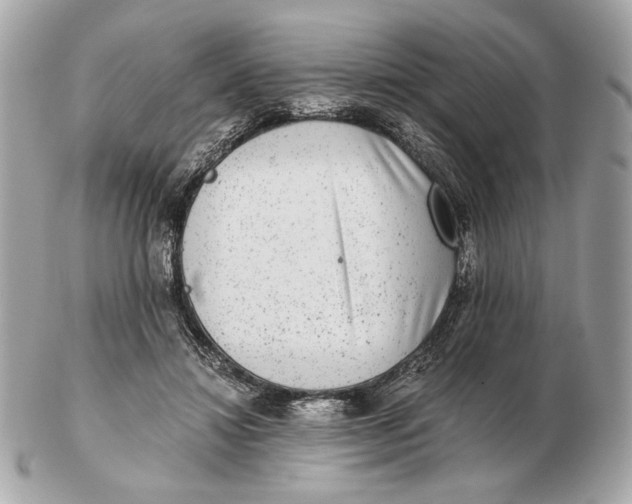 X0000102480452200808291631