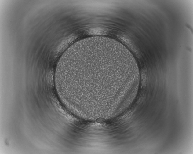 X0000102480453200808291631