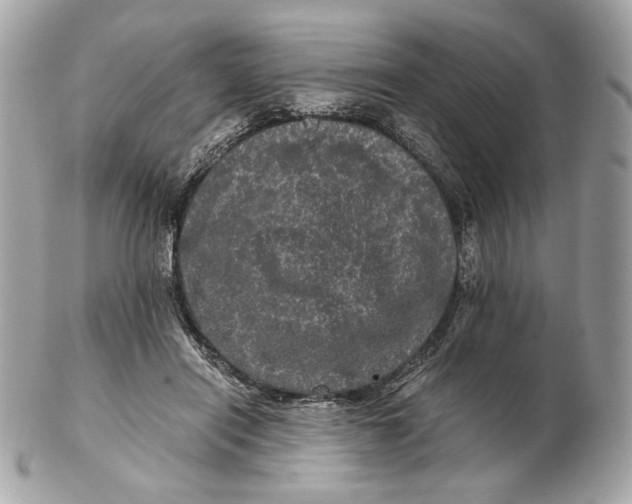 X0000102480454200808291631