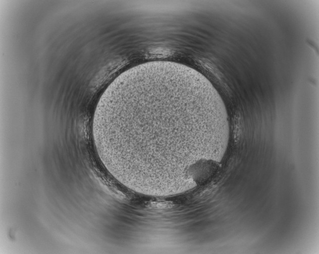 X0000102480455200808291631