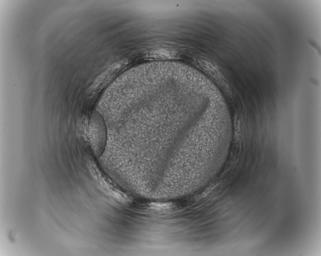 X0000102480457200808291631