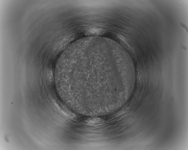 X0000102480459200808291631