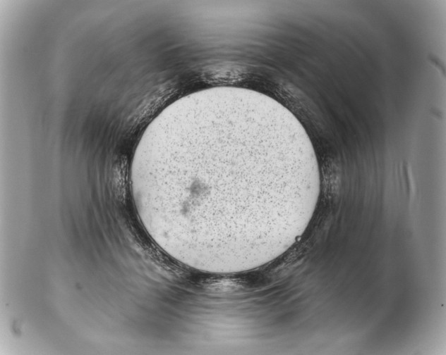 X0000102480460200808291631