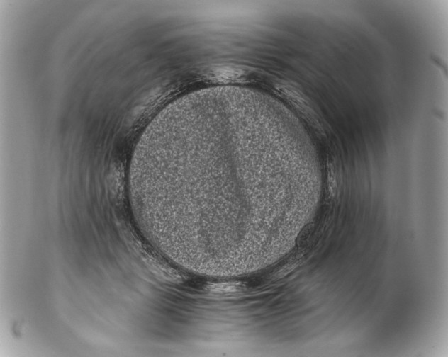 X0000102480461200808291631