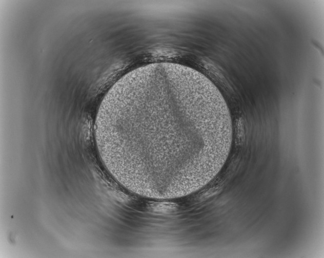 X0000102480463200808291631