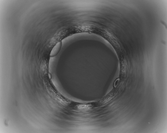 X0000102480465200808291631