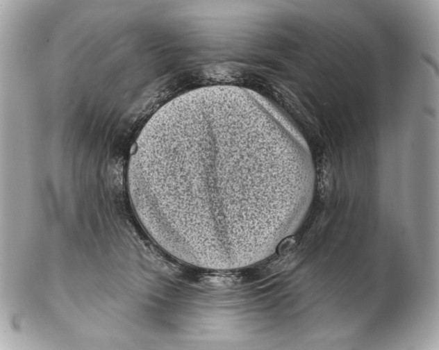 X0000102480466200808291631