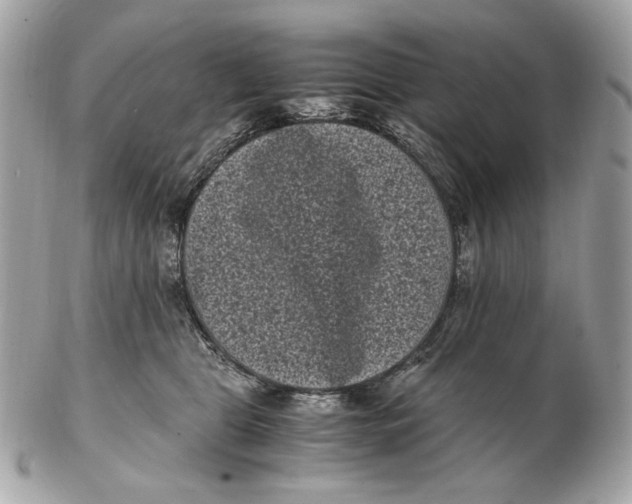 X0000102480469200808291631