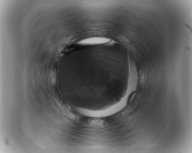 X0000102480471200808291631