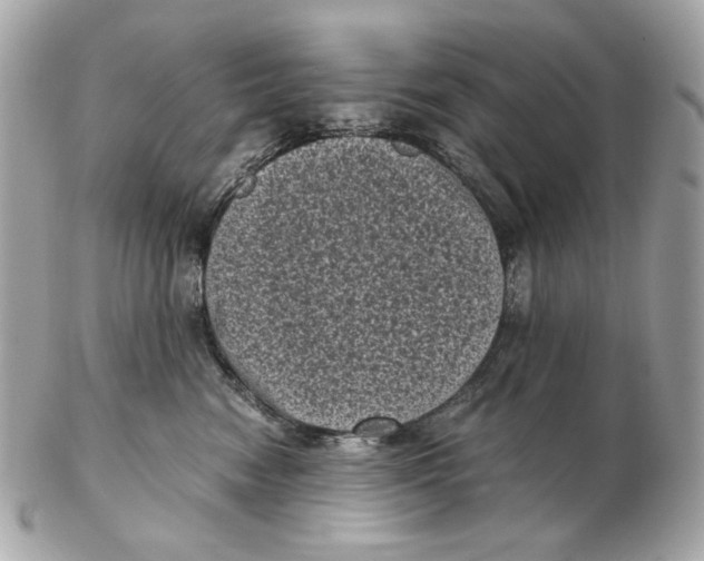 X0000102480474200808291631