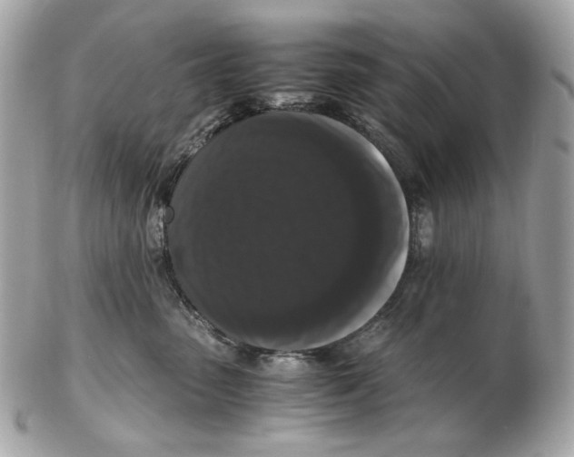 X0000102480475200808291631